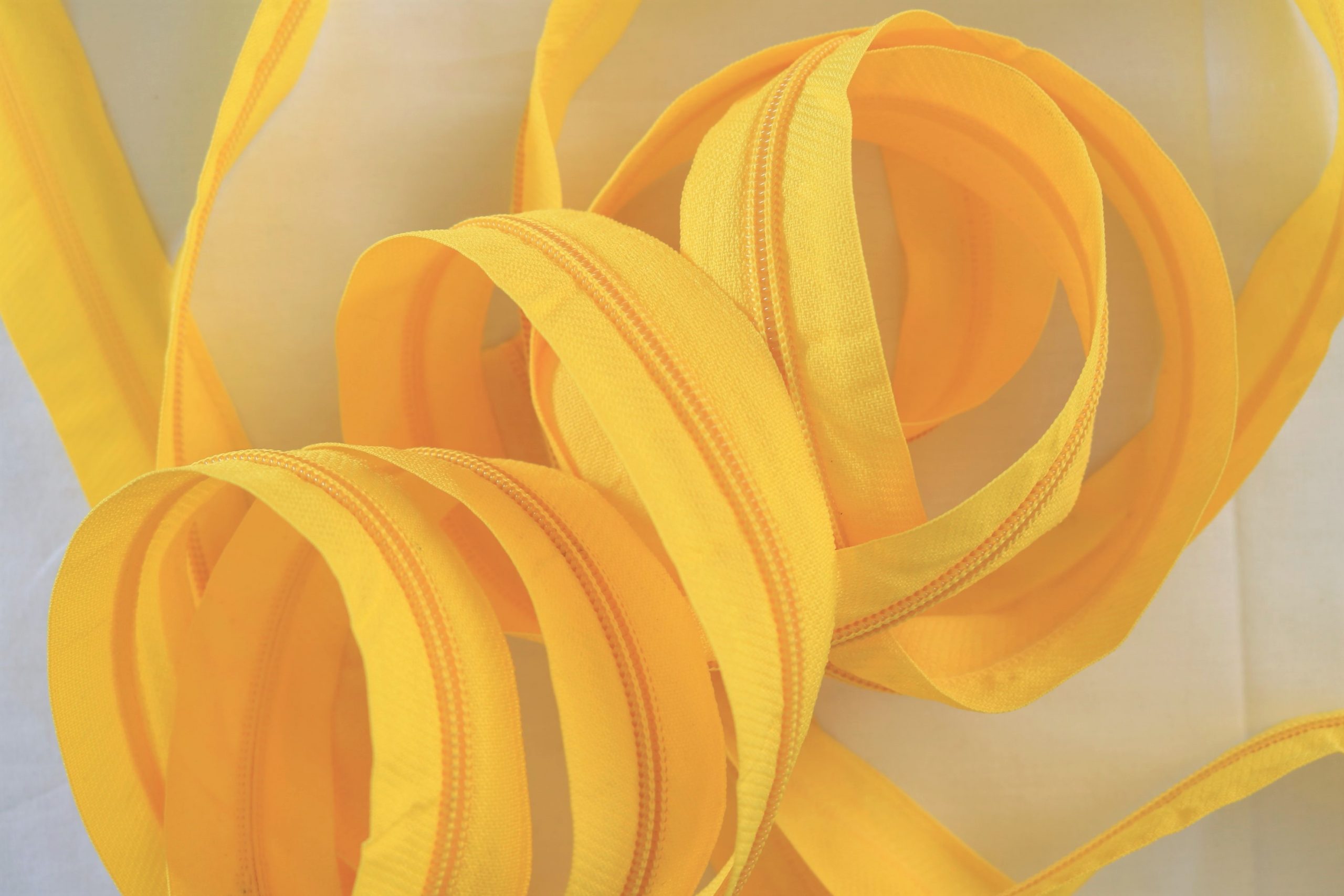 Yellow Zipper by Meter