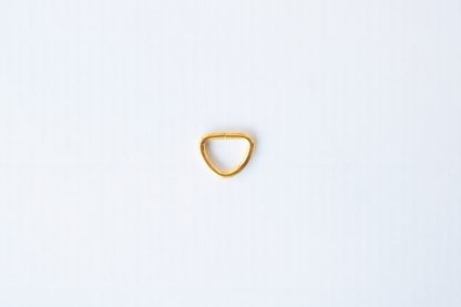 Golden D-Ring for Belt
